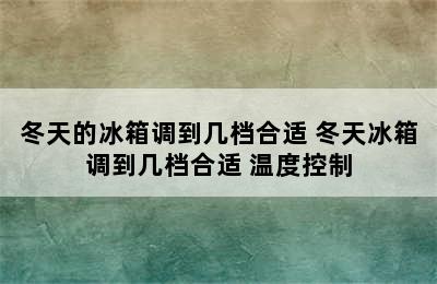 冬天的冰箱调到几档合适 冬天冰箱调到几档合适 温度控制